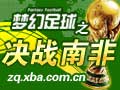 决战南非图片