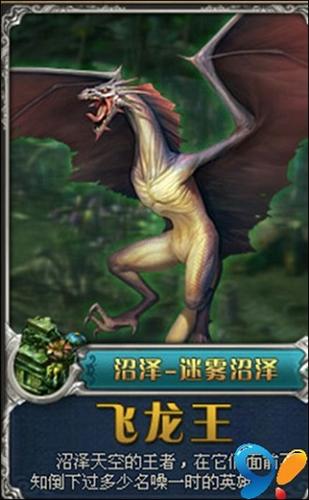沼泽之王——飞龙王
