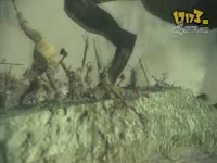 �������Ρ�����ս�衷(Rosh)��Ƶ