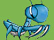 藍蟑螂