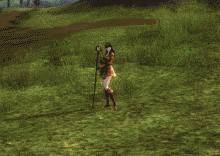 玩家制作激战2元素师法杖技能gif动画