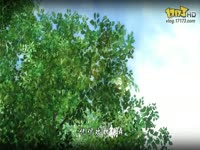 ����������MV�������顷