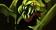 流浪剑客这下nb了——dota2流浪剑客大型攻略