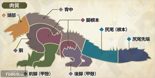 怪物猎人4 雷狼龙资料肉质和剥取数据 单机站 中国游戏第一门户站