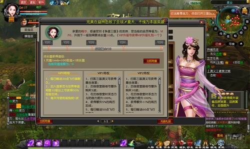 网络游戏是怎么收费的 pyc1008zdsg25s.jpg