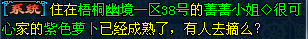 161.PNG