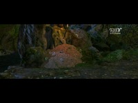 《轩辕剑6》天外之章DLC，浊山铸谜样视频