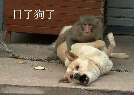 大B神,大B神脱口秀,B神最新图片