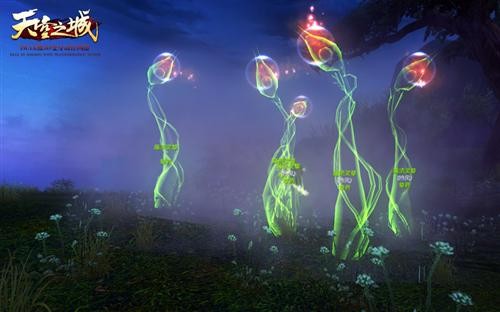 ֮ͼƬ