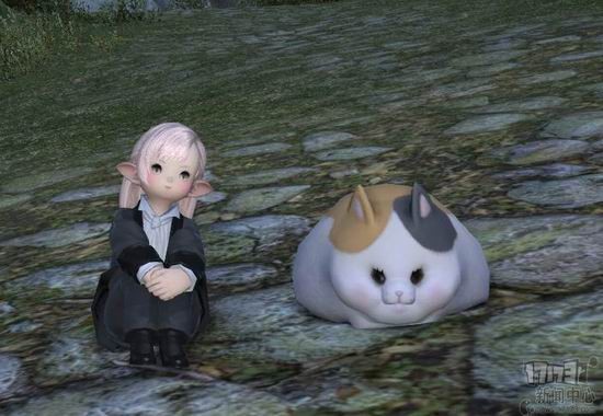 ff14特色激萌宠物盘点