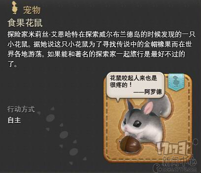 ff14特色激萌宠物盘点