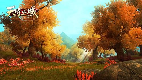 ֮ͼƬ