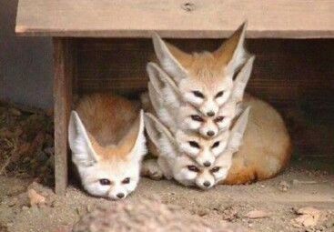 大B神脱口秀,大B神,B神脱口秀,B神最新图片