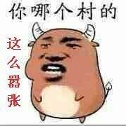 大B神脱口秀最新图片