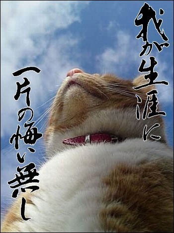 大B神脱口秀,大B神,B神脱口秀,B神最新图片