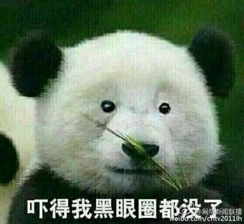 大B神脱口秀最新图片