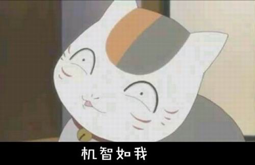 大B神脱口秀最新图片