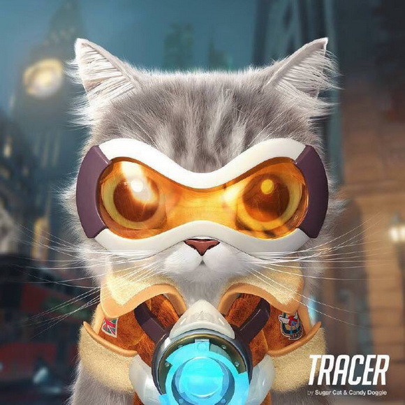 ȷͼƬ