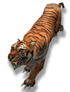 ��