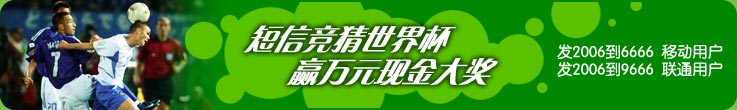 2006���籭���ž���