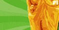 2006���籭������