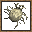 ֩��˿