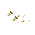 garlic.gif (971 字节)