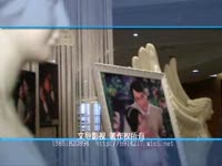 婚礼影片-吕媛媛陆家伟婚礼《晚宴集锦》