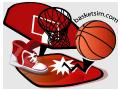 BasketSim图片