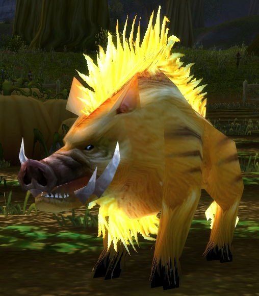 艾尔文森林的公主是一只猪