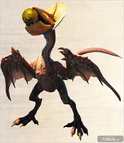 4大怪鸟资料肉质弱点与剥取数据