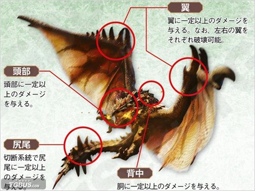 4雄火龙资料肉质弱点与剥取数据