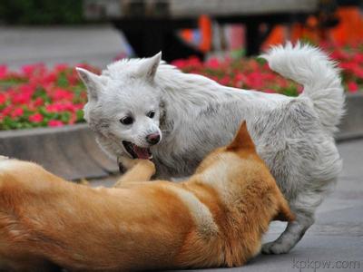 新手入门世界送人信新人的进步宝典