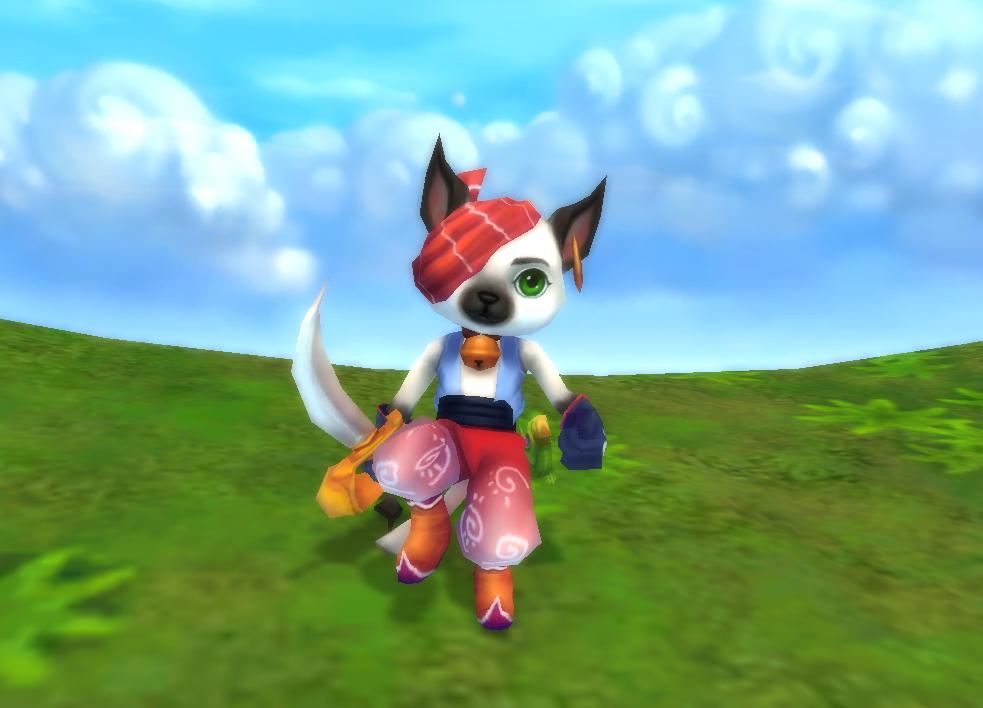 人形系宠物图片欣赏