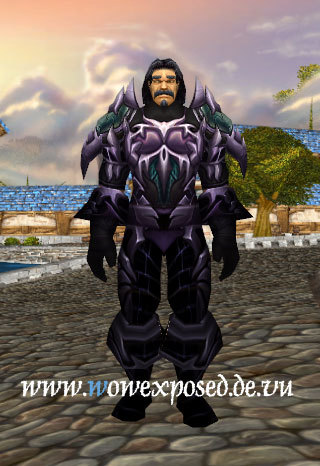 人类各职业试穿t4套装